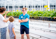 In de kas worden jaarlijks 3,6 miljoen planten geplant. 